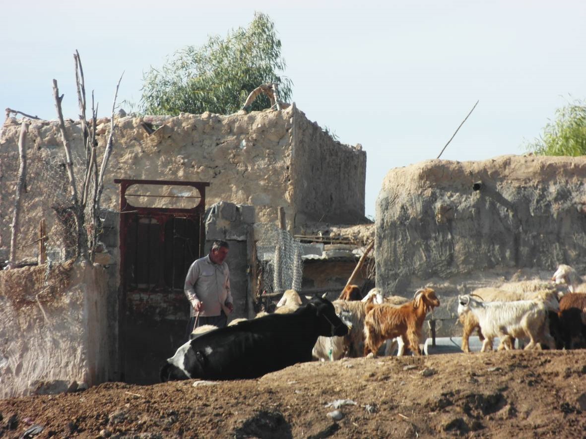 روستای مورداز سوق یکی از محرومترین روستاهای کشور+تصاویر