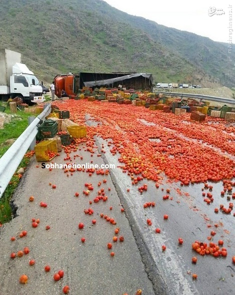 تصادف گوجه ای کامیون ها در کازرون/عکس