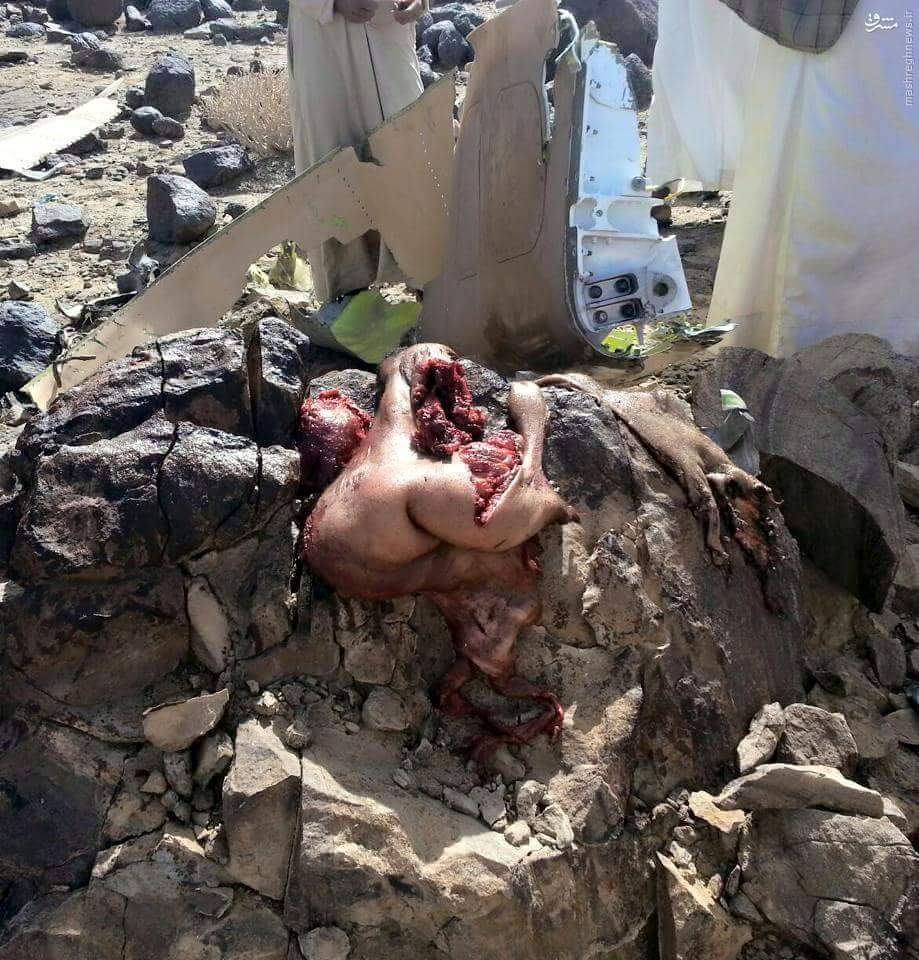 عکس/ لاشه اف 16 ساقط شده مغربی در یمن +18