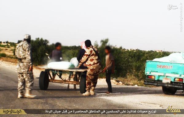 فعالیتهای اجتماعی داعش در شبه جزیره سینا