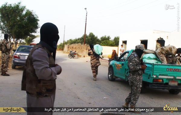 فعالیتهای اجتماعی داعش در شبه جزیره سینا