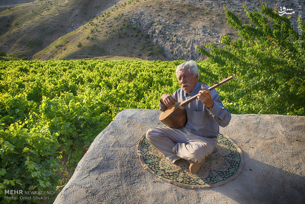 ماجرای مقرری ۱۲۰ هزار تومانی برای هنرمندان