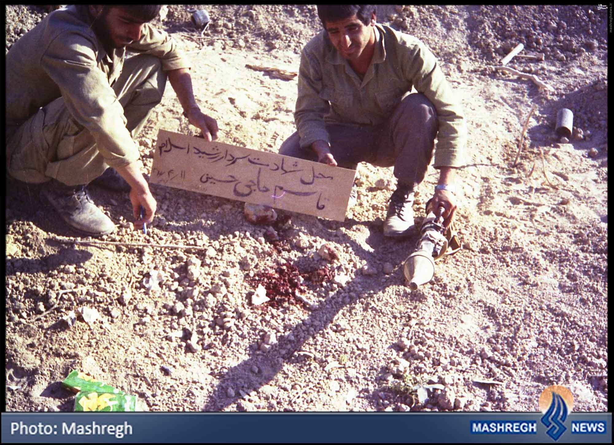 تصاویر/ خونی که شناسنامه دارد