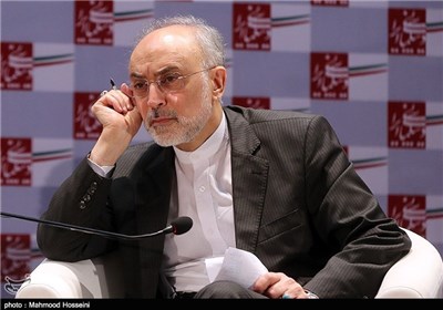 صالحی: مونیز به درخواست من به مذاکرات ایران و گروه ۱+۵ پیوست