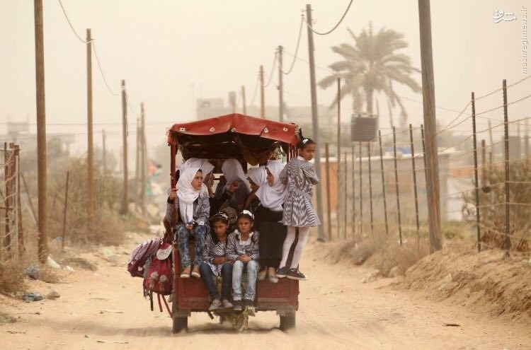 عکس/ سرویس مدرسه کودکان غزه