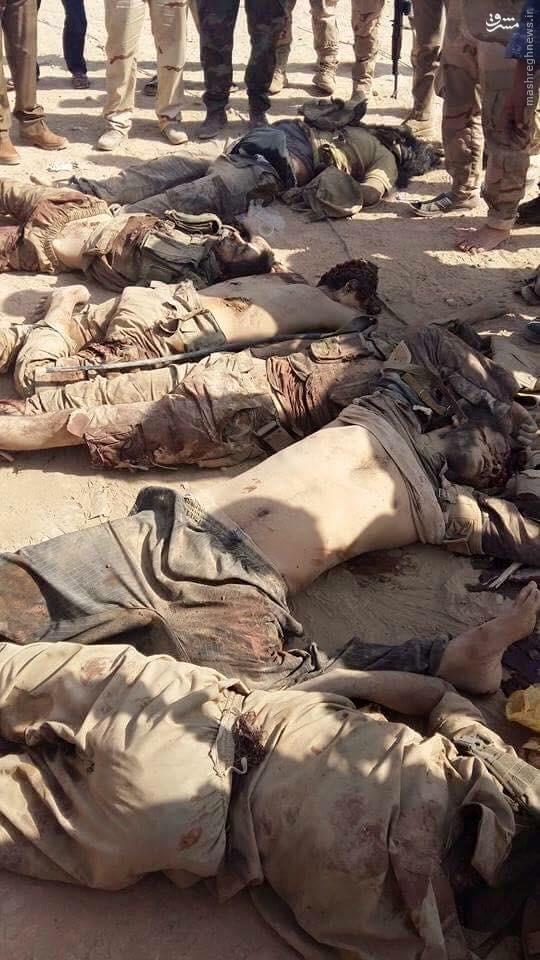 12 کشته در حمله حشدالشعبی به غرب سامراء+تصاویر