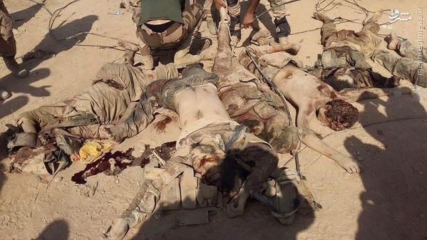 12 کشته در حمله حشدالشعبی به غرب سامراء+تصاویر