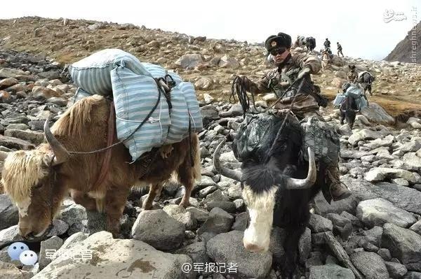 عکس/ وسیله حمل و نقل عجیب ارتش چین