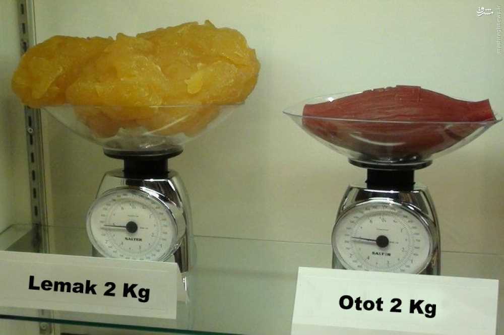 عکس/ تفاوت 2 کیلو عضله با 2 کیلو چربی