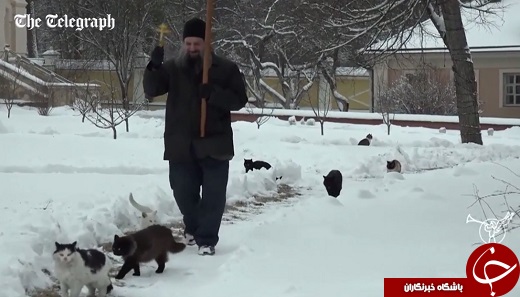 مردی که گربه‌ها را در روسیه متبرک می‌کند! +تصاویر