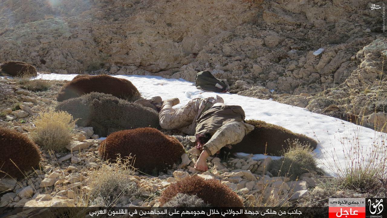 حمله القاعده به داعش در القلمون+عکس