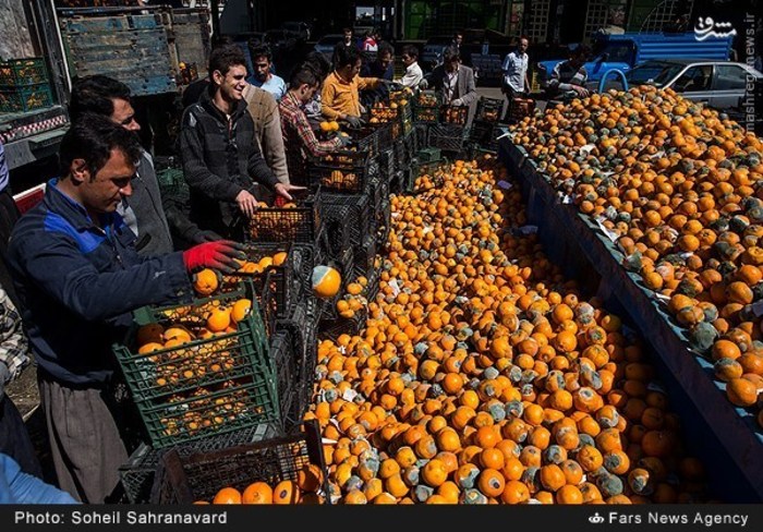 پشت پرده فاسدسازی و دفن محصولات کشاورزی در دولت یازدهم چیست؟/ پیدا کنید پرتقال فروش را+ تصاویر