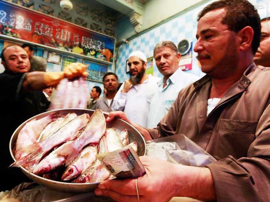 پرورش ماهی، دلالی خودرو، روش های جدید داعش برای کسب درآمد