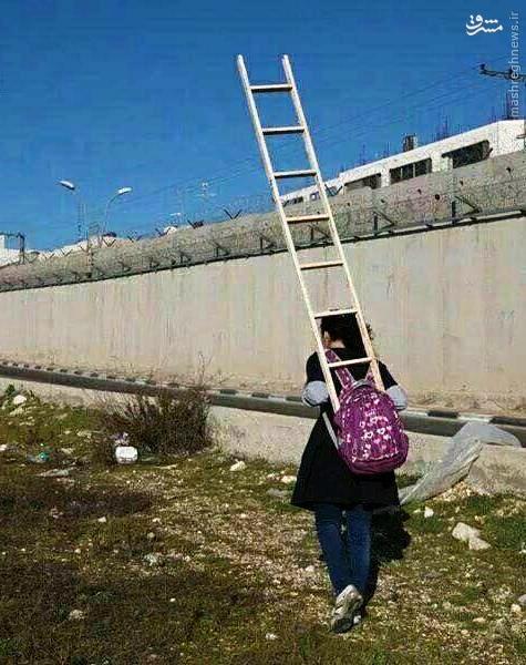 عکس/ دختری که هر روز با «نردبان» به مدرسه می رود
