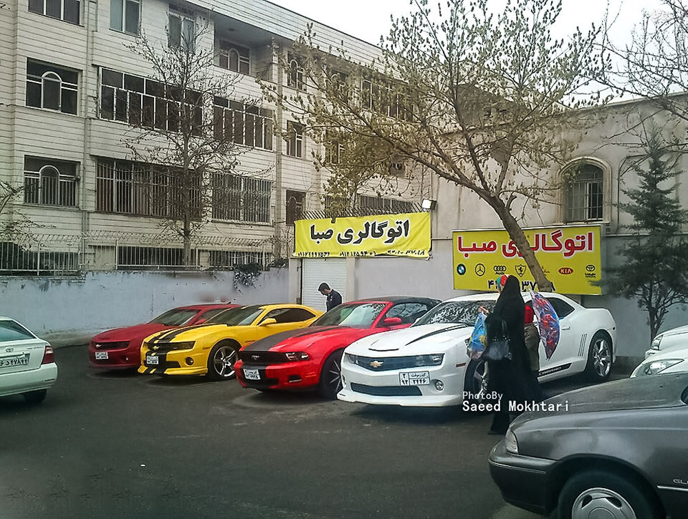 عکس/ آمریکایی‌های رنگارنگ در تهران