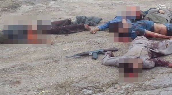 انتحاری داعش در شمال عراق+عکس