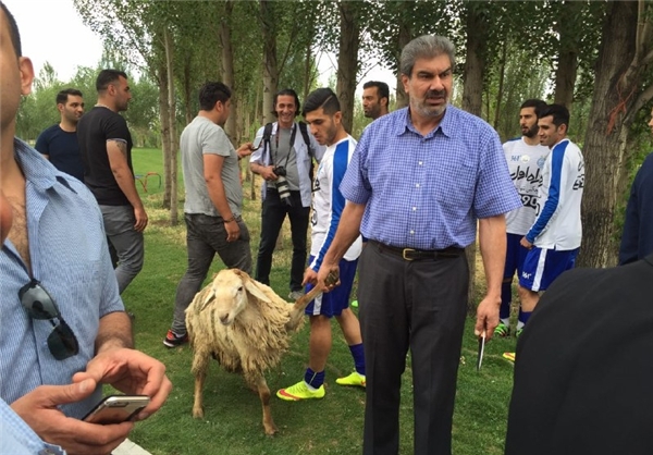 قربانی گوسفند قبل از تمرین استقلال +عکس قربانی گوسفند قبل از تمرین استقلال +عکس