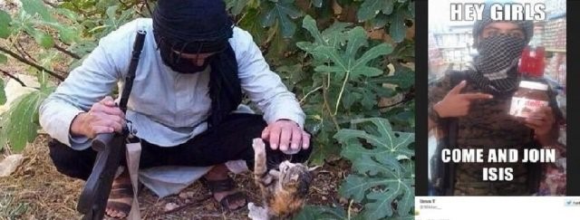 ابتکار داعش برای جذب تروریست‌های گربه دوست!