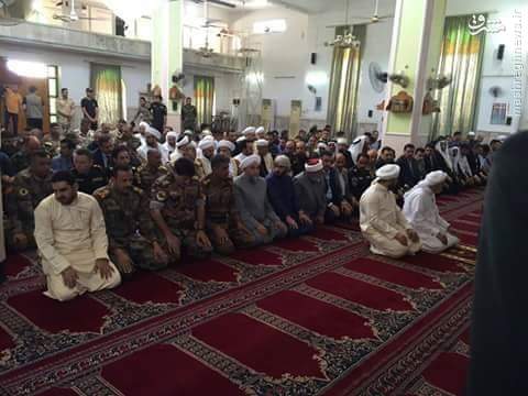 برپایی نماز وحدت در مساجد فلوجه+عکس