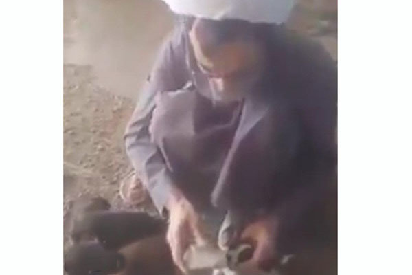 روحانی که به توله‌سگ‌های مادر مرده غذا می‌داد +عکس