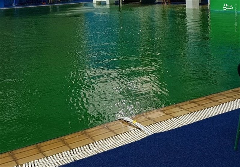 آب استخر شیرجه المپیک یک شبه سبز رنگ شد + تصاویر